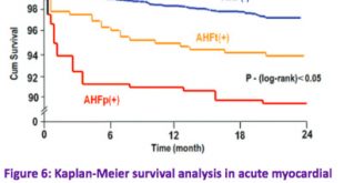 Prognostic importance of acute heart failure persistence in patients with ST-elevation myocardial infarction